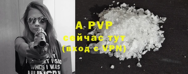 стафф Белокуриха
