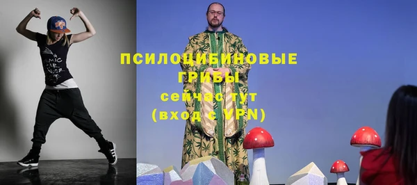стафф Белокуриха