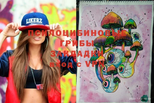 стафф Белокуриха