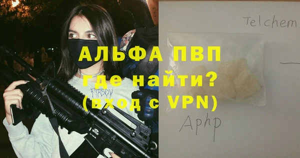 стафф Белокуриха